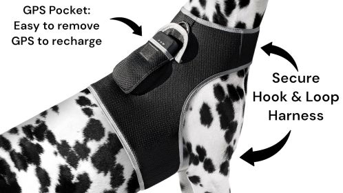 Pet Tracker Pocket GPS Dog Tracking Systems for Pet Security Surveillance Size:XS