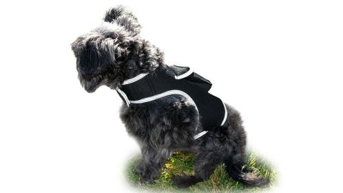 NEW Mini GPS GSM Pet Tracker Locator Alarm Cat Dog Protection Security Size:XXL